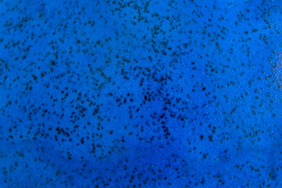 BLUE speckled bowl